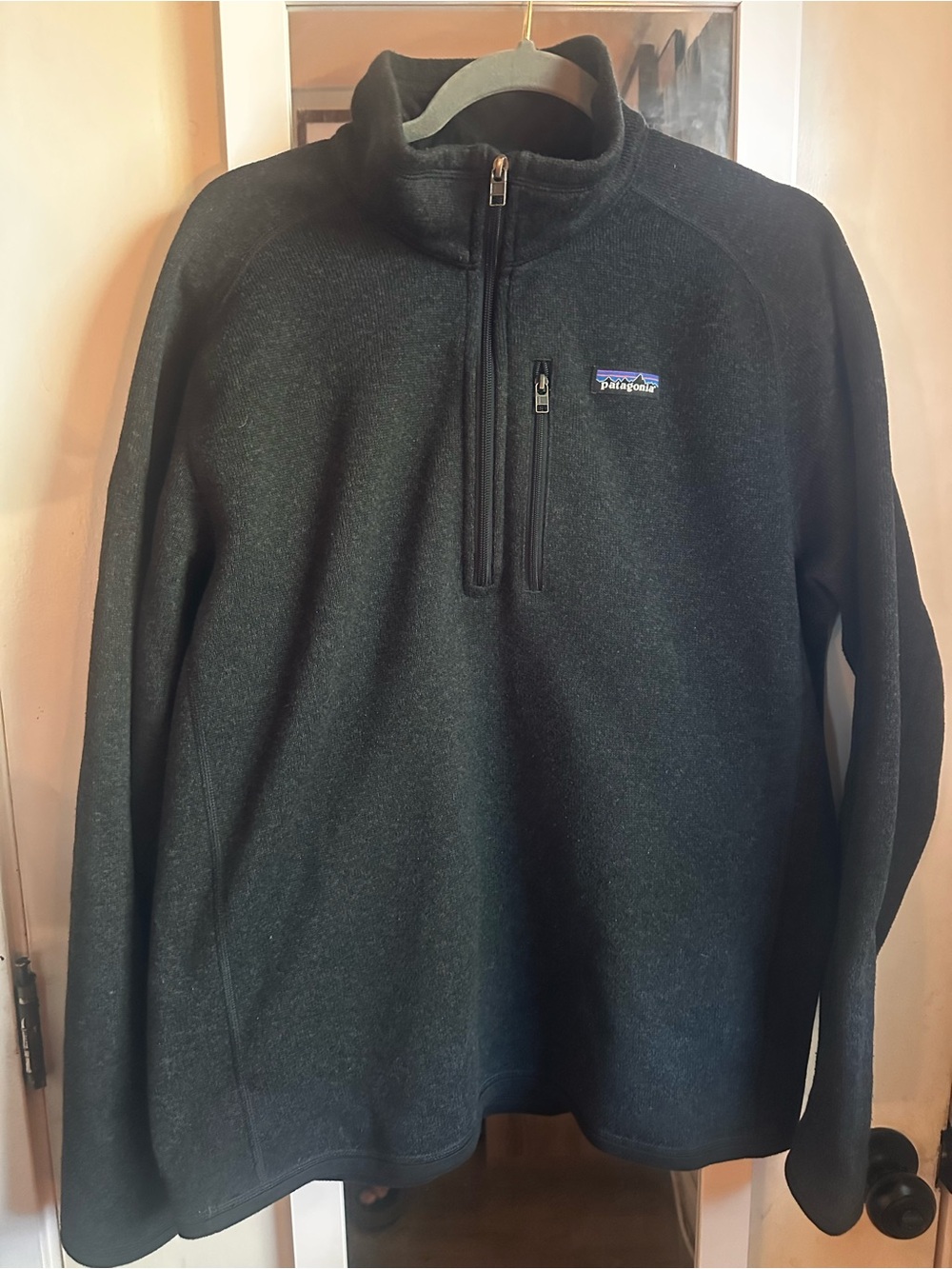 Patagonia Black Half-Zip Fleece Pullover